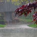 शुक्रबार र शनिबार विशेष सावधानी अपनाउन मौसम विभागको आग्रह